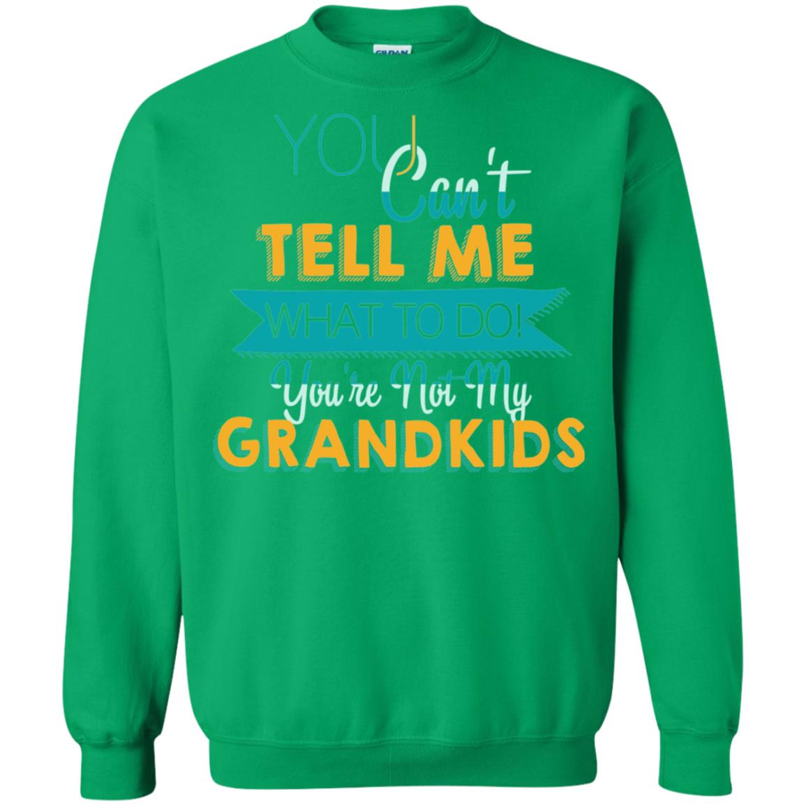 You Can't Tell Me What To Do You're Not My Grandkids Grandparents Gift Tshirt Irish Green