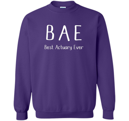 BAE Best Actuary Ever Tshirt funny work job humor shirt shirt Purple
