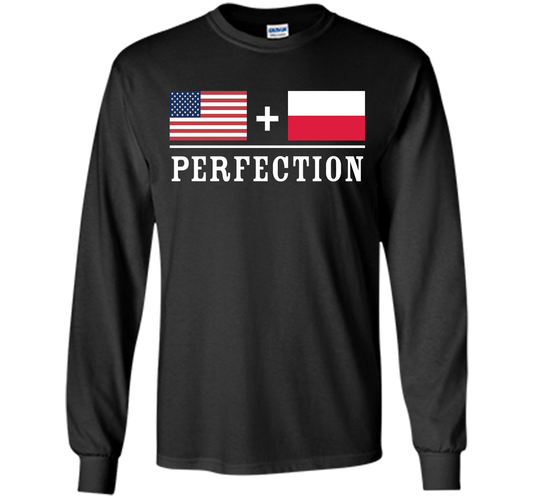American + Polish = Perfection Flag T-Shirt shirt Black