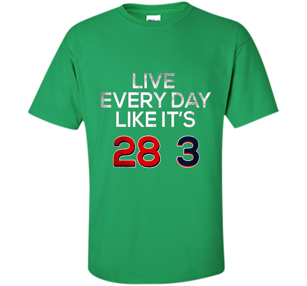 Patriotic American Flag Runway Pilot T-shirt Irish Green