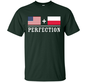 American + Polish = Perfection Flag T-Shirt shirt