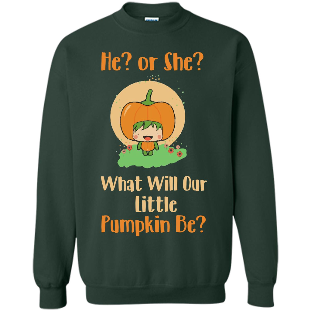 Halloween T-shirt What Will Our Little Pumpkin Be T-shirt
