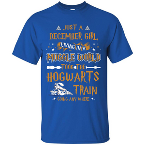 Harry Potter T-shirt Just A December Girl Living In A Muggle World