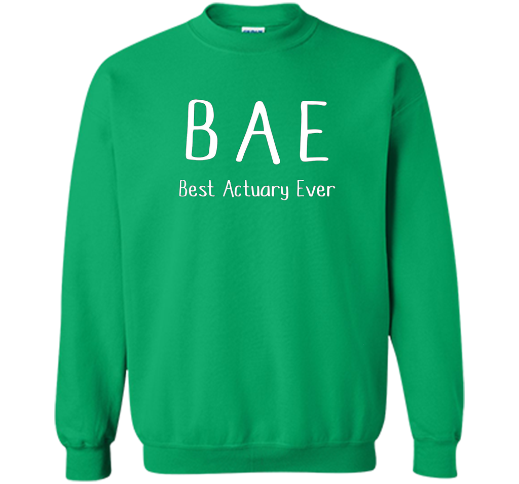 BAE Best Actuary Ever Tshirt funny work job humor shirt shirt Irish Green