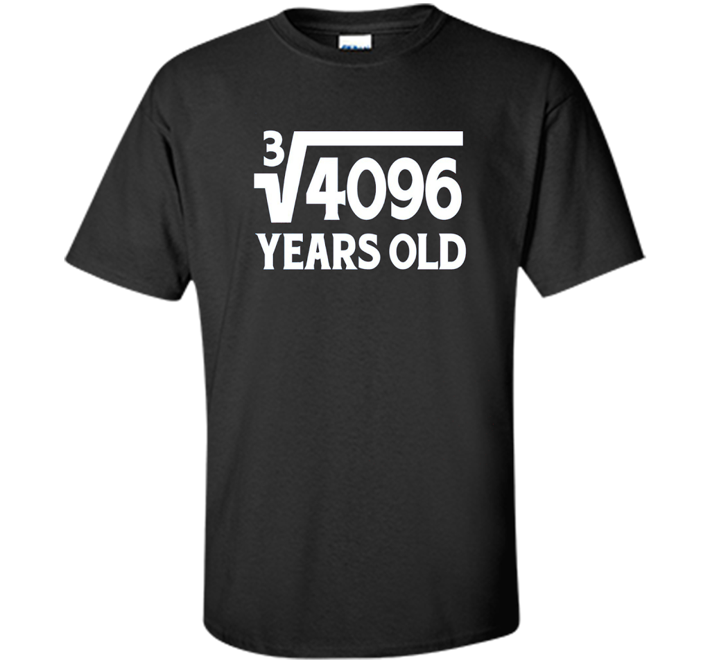 Funny Math Geek 16th Birthday Cube Root T-Shirt 16 Year Old shirt Black