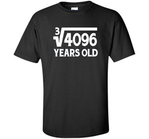 Funny Math Geek 16th Birthday Cube Root T-Shirt 16 Year Old shirt