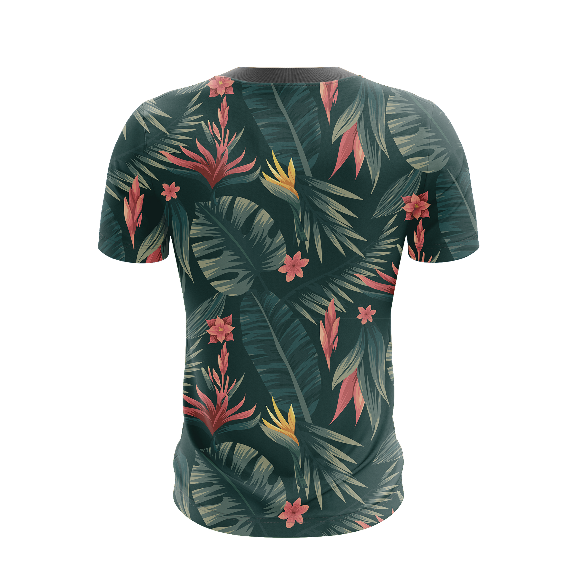 Studio Ghibli And Alice In Wonderland Unisex 3D T-shirt