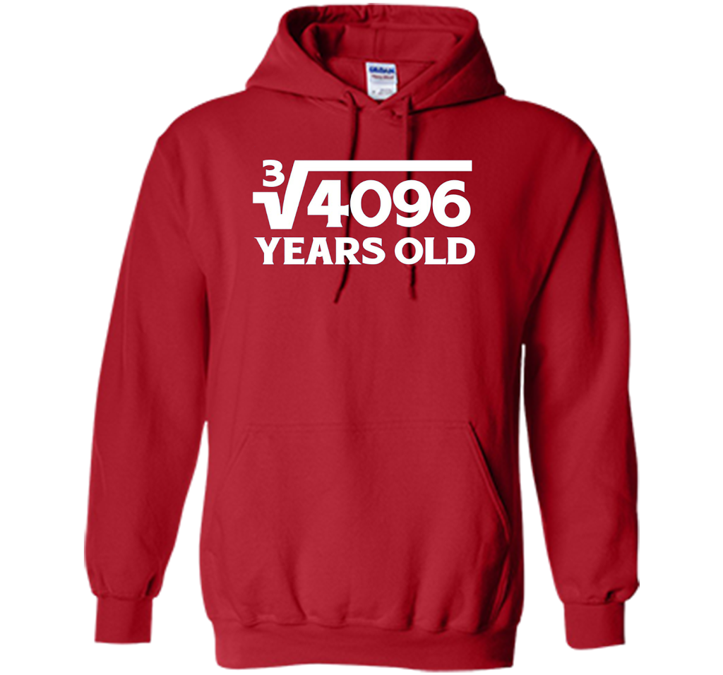 Funny Math Geek 16th Birthday Cube Root T-Shirt 16 Year Old shirt Red