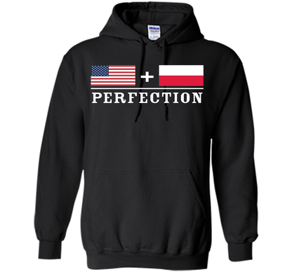 American + Polish = Perfection Flag T-Shirt shirt Black