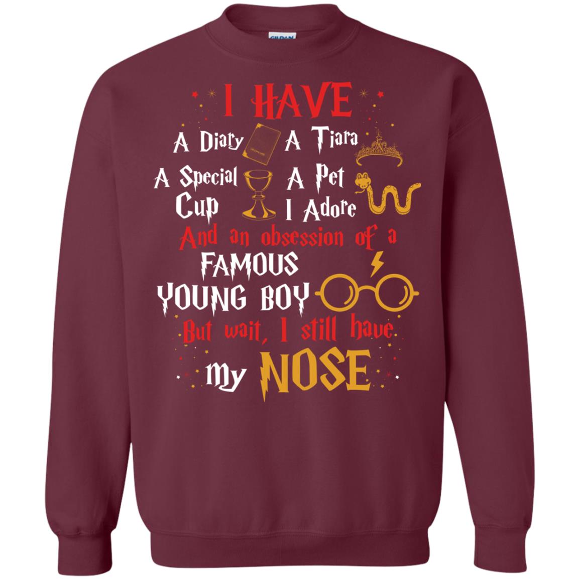 I Have A Diary, A Tiara, A Special Cup, A Pet I Adore And An Obsession Of A Famous Young Boy Harry Potter Fan T-shirt Maroon