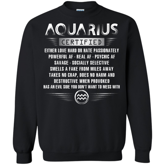 Aquarius Certified Either Love Hard Or Hate Passionately Powerful Af T-shirt Black