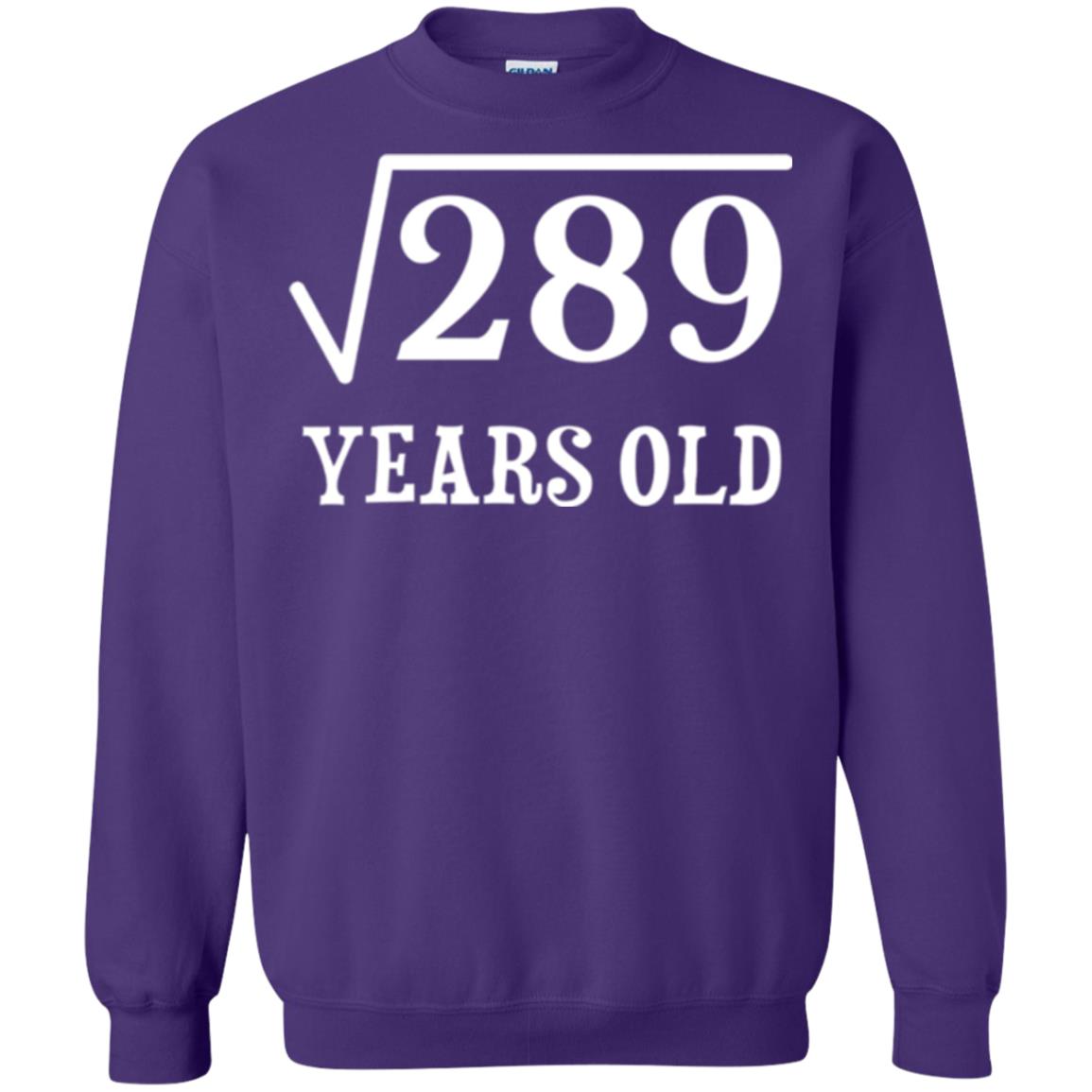 Brithday T-shirt Square Root Of 289 Purple