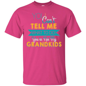 You Can't Tell Me What To Do You're Not My Grandkids Grandparents Gift Tshirt