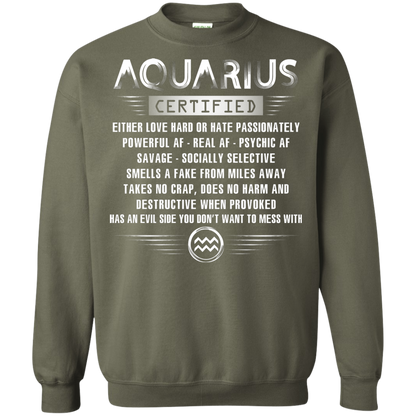 Aquarius Certified Either Love Hard Or Hate Passionately Powerful Af T-shirt