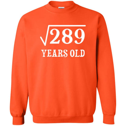 Brithday T-shirt Square Root Of 289 Orange