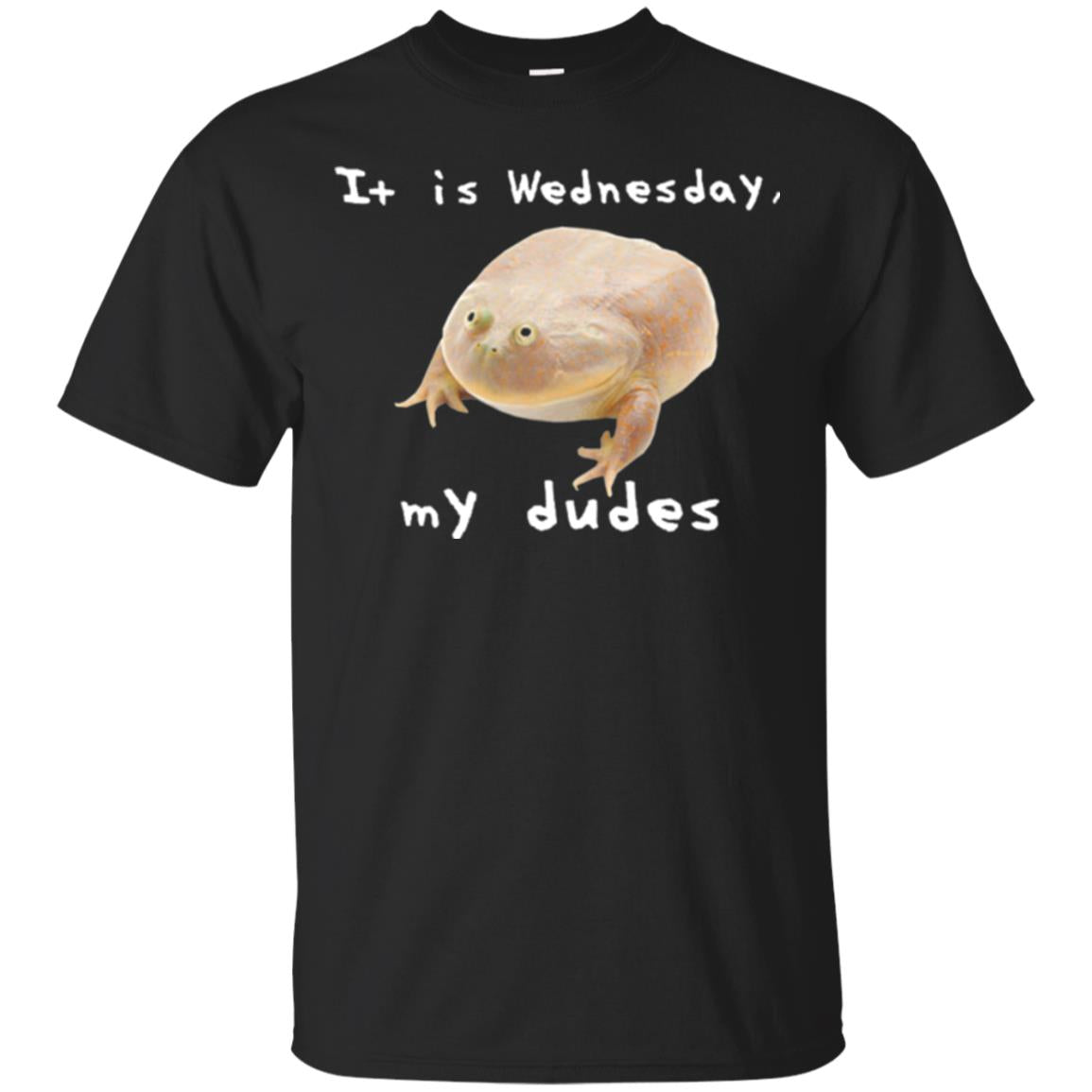 Funny Frog T-shirt It Is Wednesday My Dudes Black