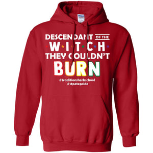 Descendant Of The Witch They Couldn_t Burn #traditionsherbschool #stpetepride Lgbt Shirt