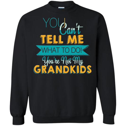 You Can't Tell Me What To Do You're Not My Grandkids Grandparents Gift Tshirt Black