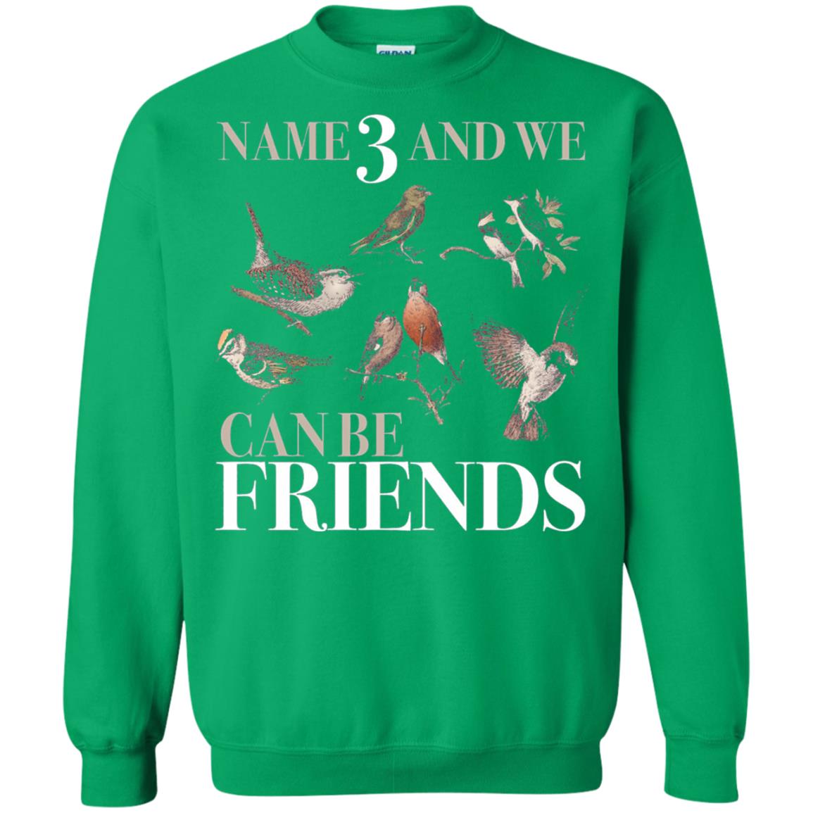 Birdwatching Shirt Name 3 And We Can Be Friends Irish Green