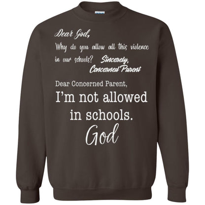 Dear God Why Not Allowed In Schools Christian T-shirt Dark Chocolate