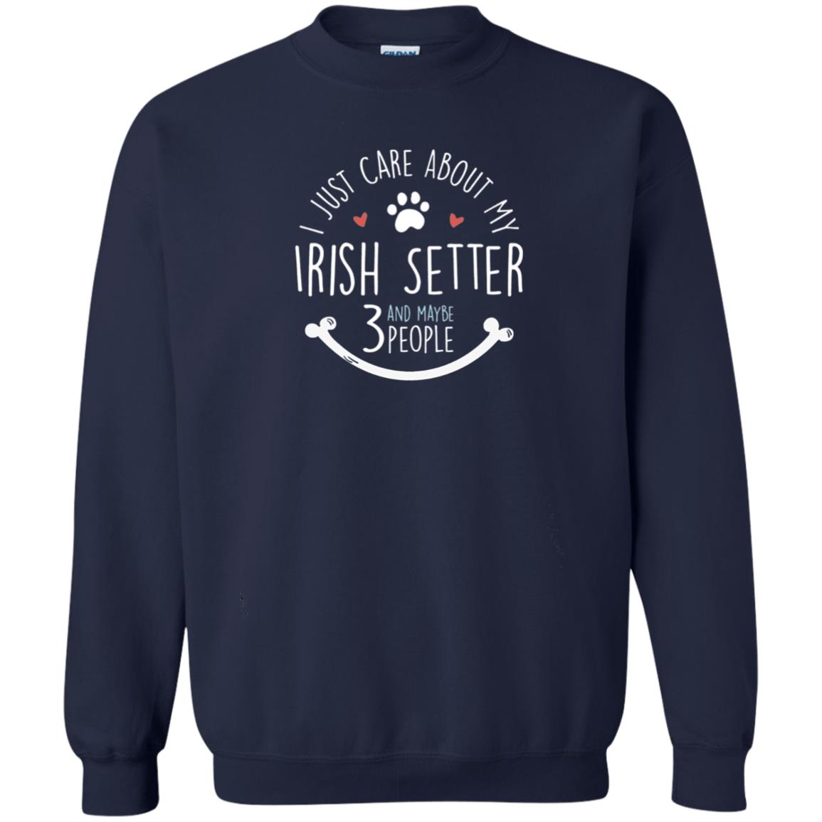 I Just Care About Irish Setter Dog Owners T-shirt Navy