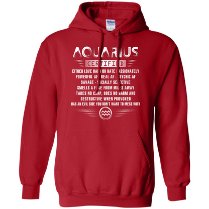 Aquarius Certified Either Love Hard Or Hate Passionately Powerful Af T-shirt