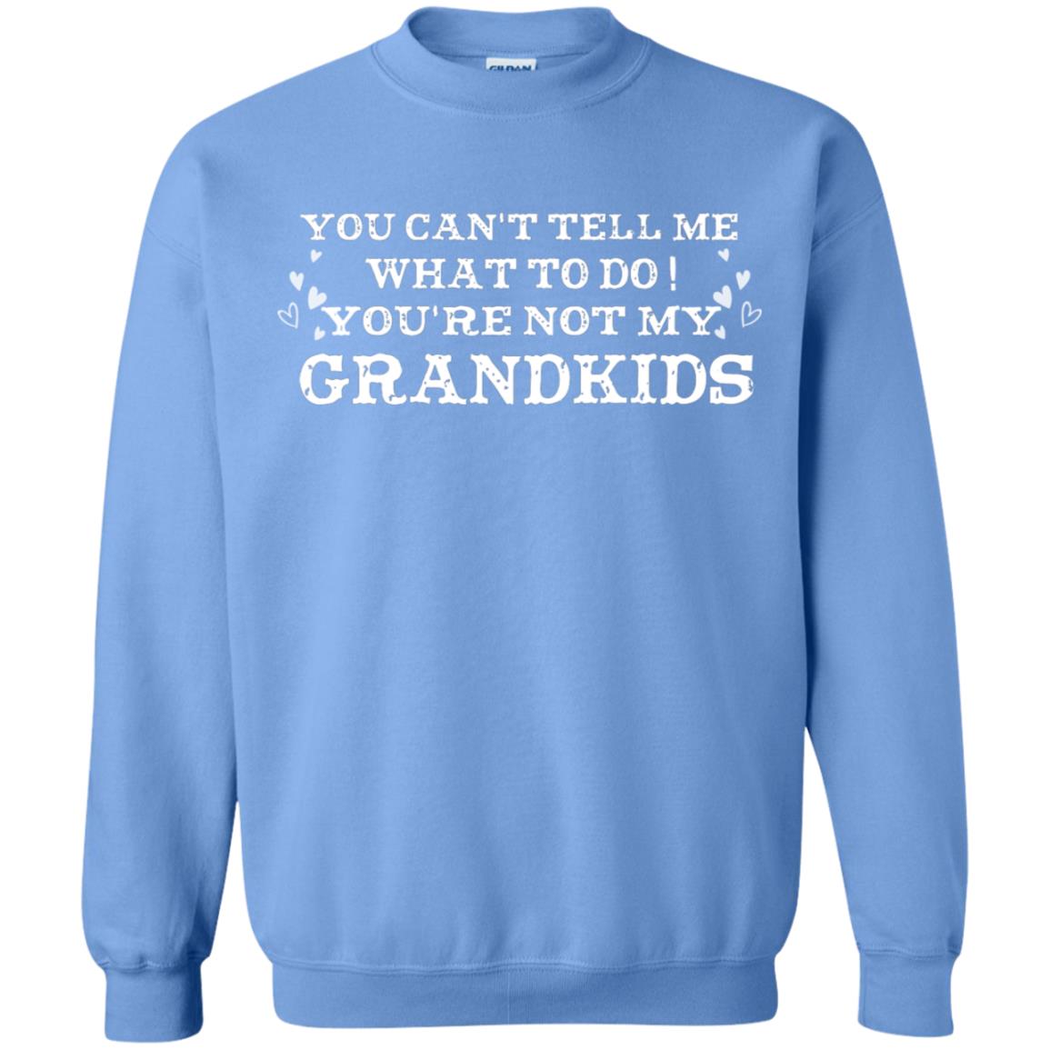 You Can't Tell Me What To Do You're Not My Grandkids Grandparents Gift Shirt Carolina Blue