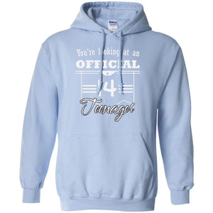 You're Looking At An Official 14 Teenager 14th Birthday ShirtG185 Gildan Pullover Hoodie 8 oz.