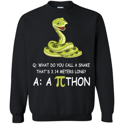 What Do You Call A Snake That's 3.14 Meters Long Shirt Black