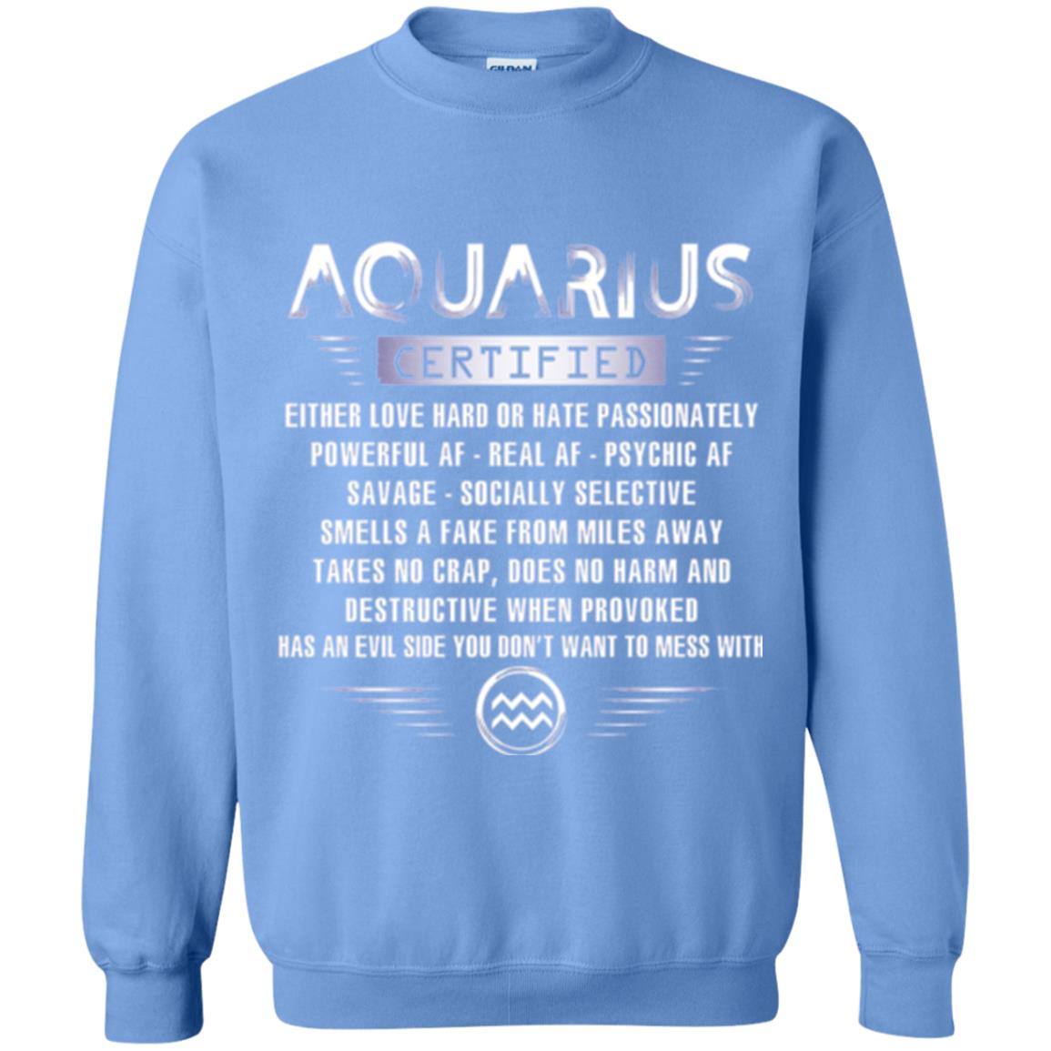 Aquarius Certified Either Love Hard T-shirt Carolina Blue