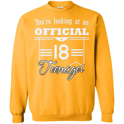 You're Looking At An Official 18 Teenager 18th Birthday Shirt Gold