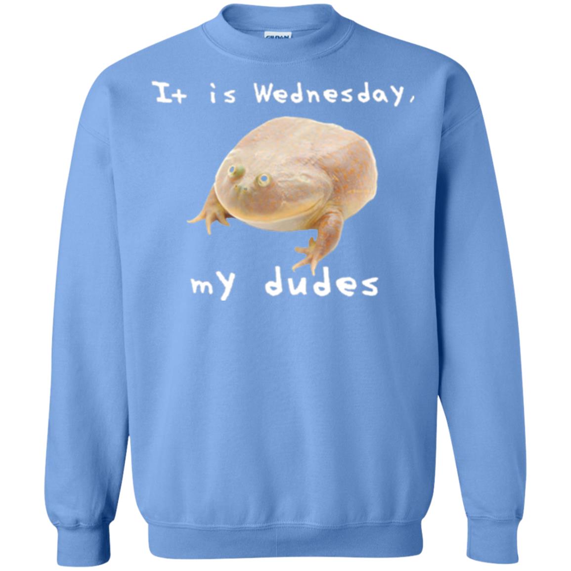 Funny Frog T-shirt It Is Wednesday My Dudes Carolina Blue