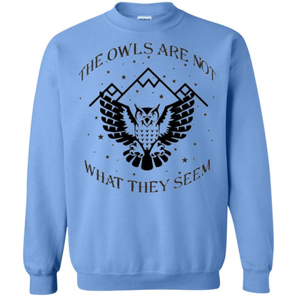 Owl Lovers T-shirt The Owls Are Not What They Seem Carolina Blue
