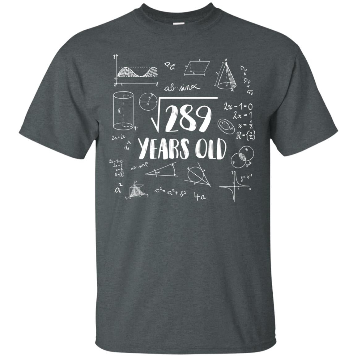Square Root Of 289 17th Birthday 17 Years Old Math T-shirt Dark Heather