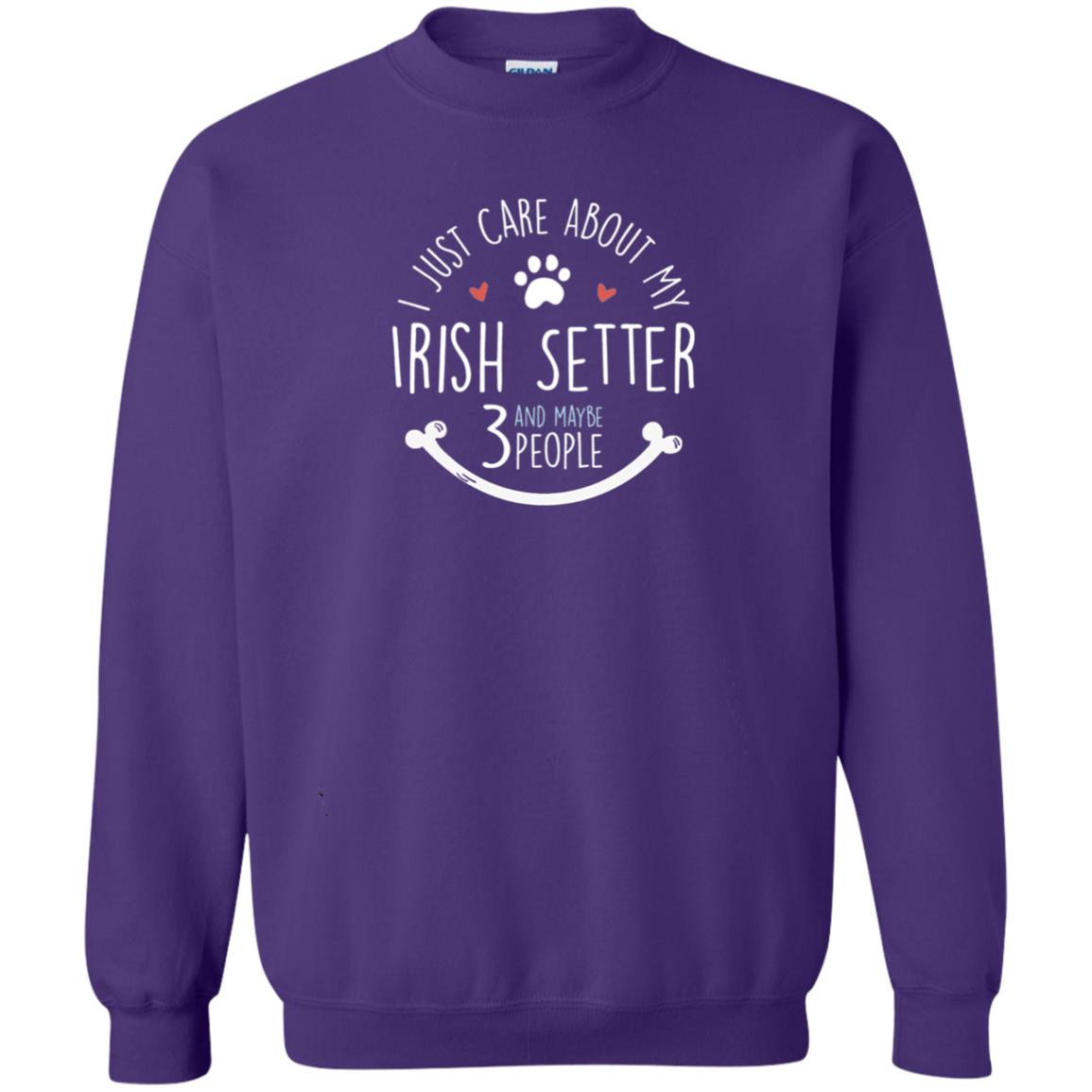 I Just Care About Irish Setter Dog Owners T-shirt Purple