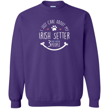 I Just Care About Irish Setter Dog Owners T-shirt Purple