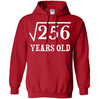 Birthday T-shirt Square Root Of 256 16th Years Old Red