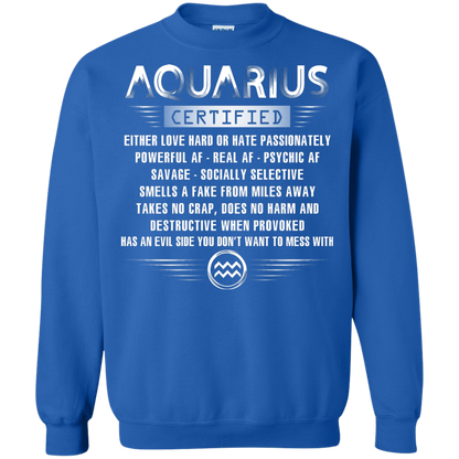 Aquarius Certified Either Love Hard Or Hate Passionately Powerful Af T-shirt