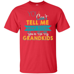 You Can't Tell Me What To Do You're Not My Grandkids Grandparents Gift TshirtG200 Gildan Ultra Cotton T-Shirt