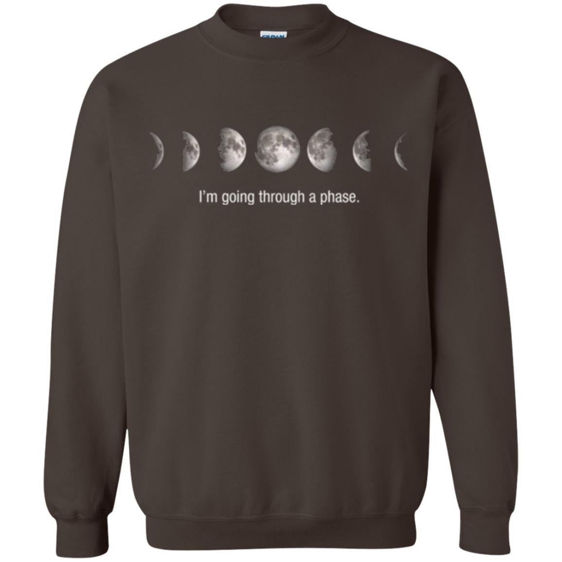 Astronomy T-shirt I_m Going Through A Phase Dark Chocolate