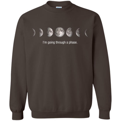 Astronomy T-shirt I_m Going Through A Phase Dark Chocolate