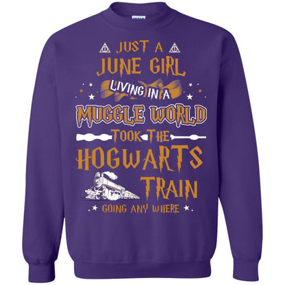 Just A June Girl Living In A Muggle World Took The Hogwarts Train Going Any Where Purple