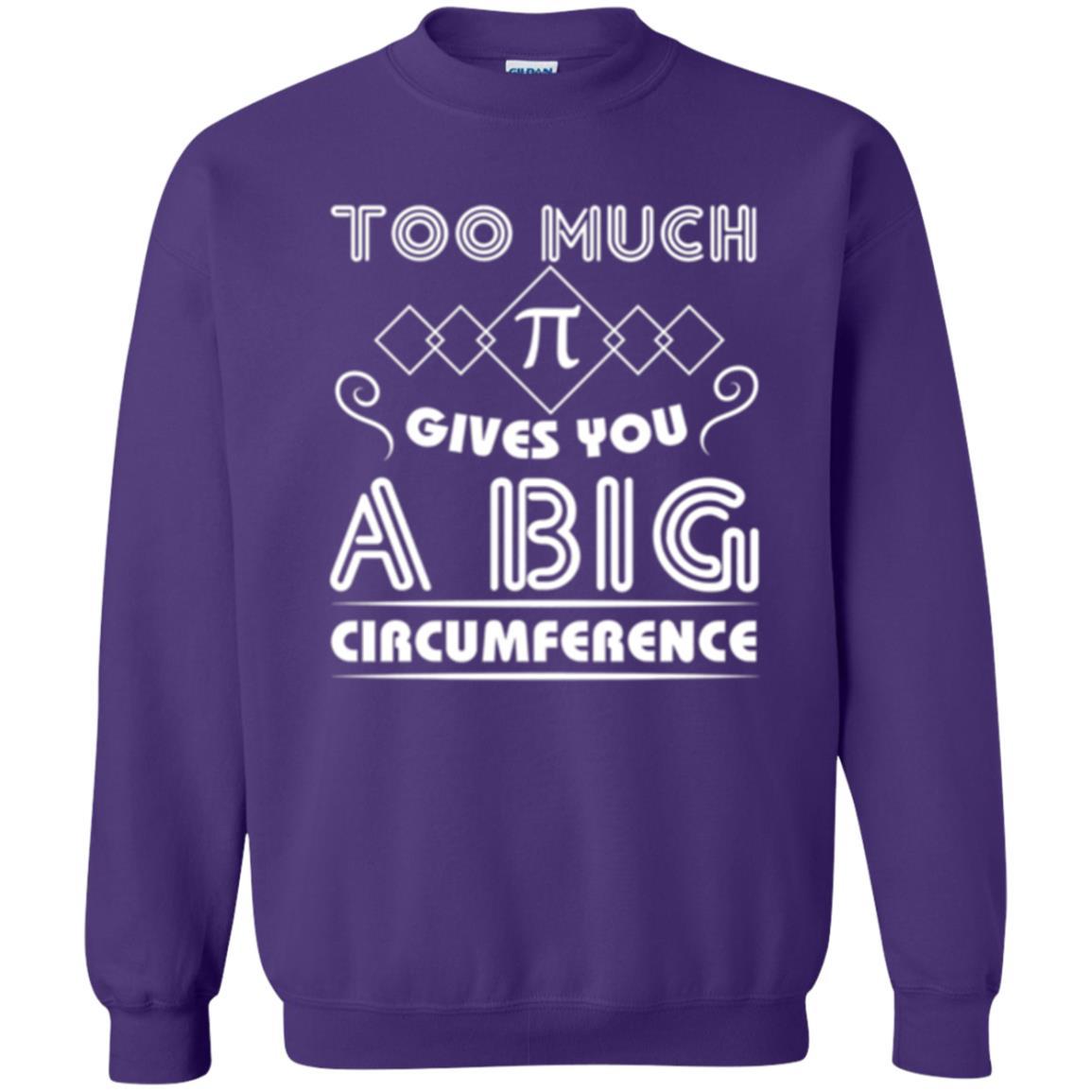 Math Science T-shirt Too Much Pi Gives You A Big Circumference Purple