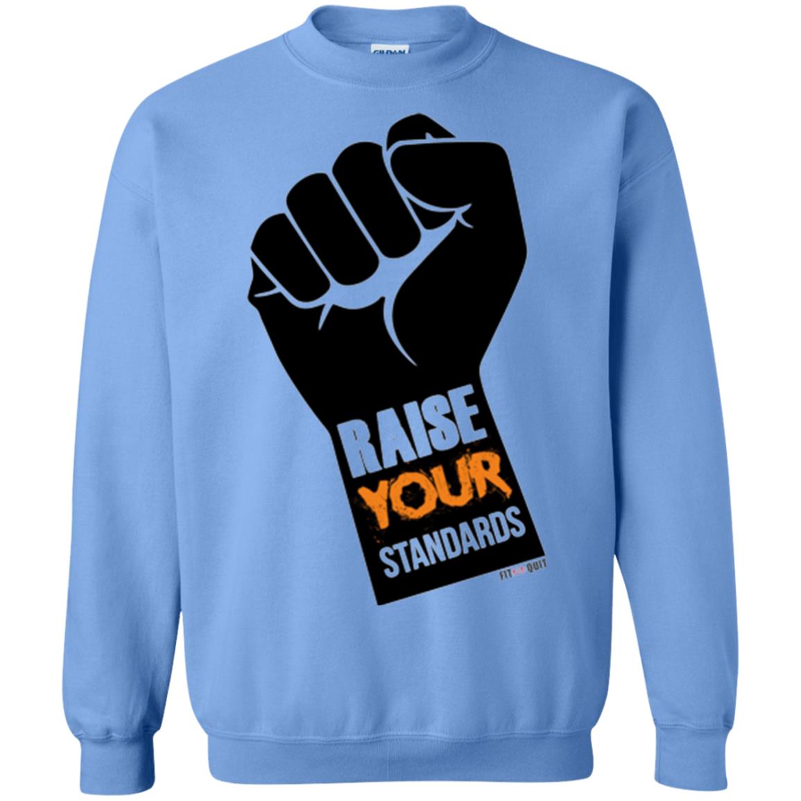 Raise Your Standards Motivatitonal Fitnoquit T-shirt Carolina Blue