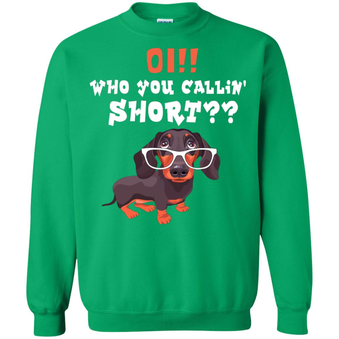 Oi Who You Calling Short Dachshund Gift Shirt Irish Green