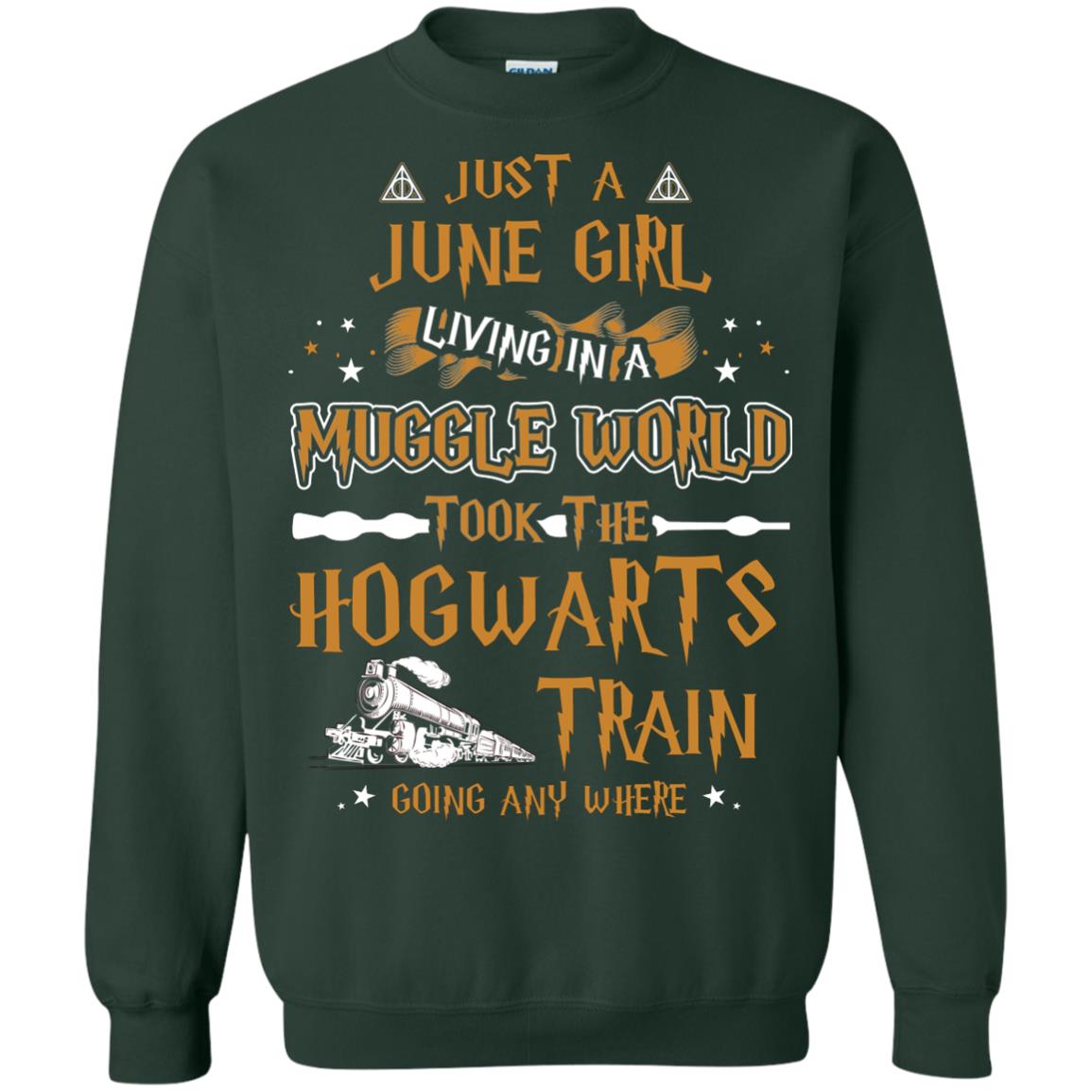 Just A June Girl Living In A Muggle World Took The Hogwarts Train Going Any Where Forest Green