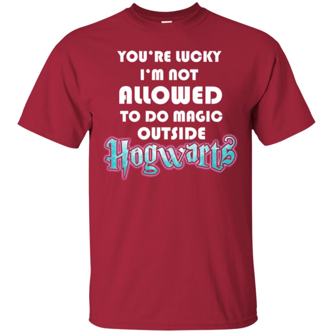 You're Lucky Im Not Allowed To Do Magic Outside Hogwarts Harry Potter Fan T-shirtG200 Gildan Ultra Cotton T-Shirt