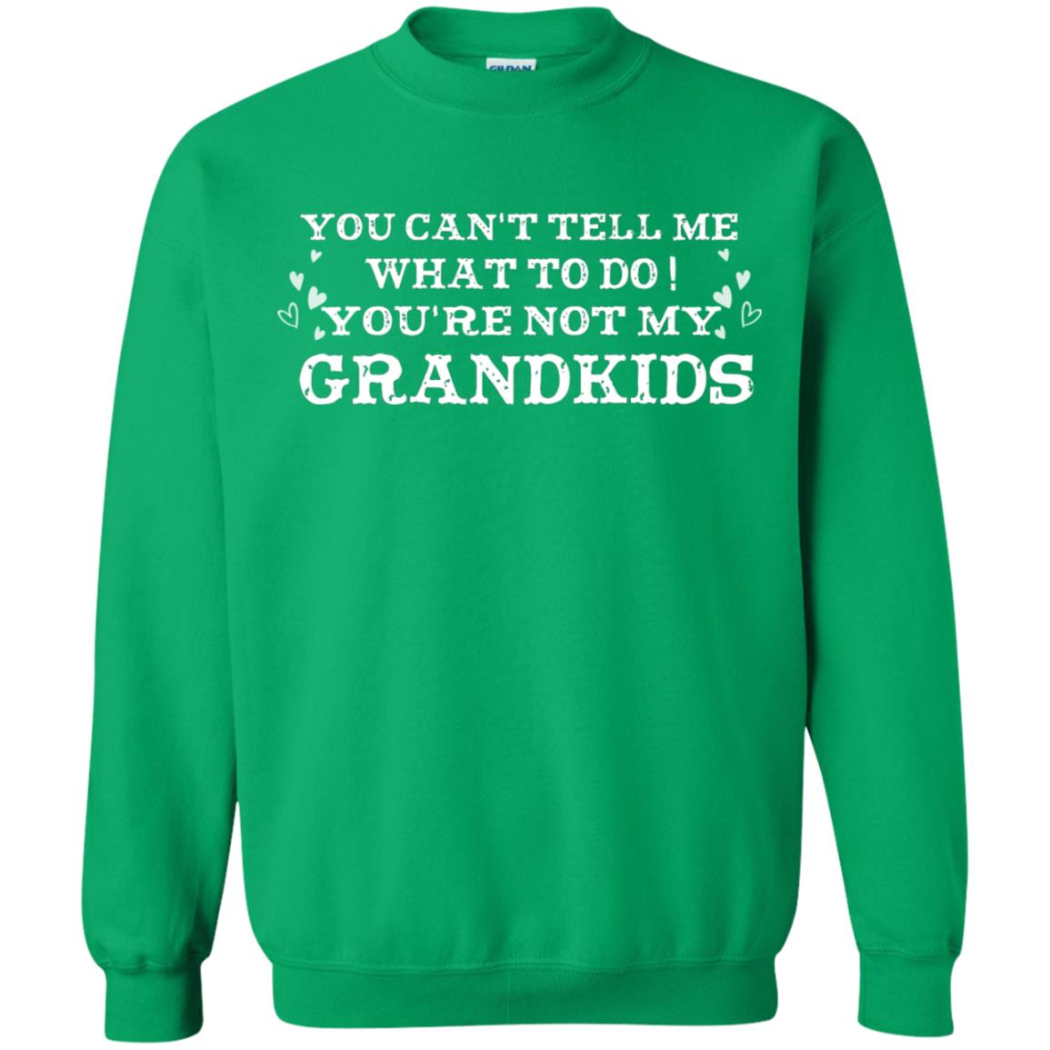 You Can't Tell Me What To Do You're Not My Grandkids Grandparents Gift Shirt Irish Green