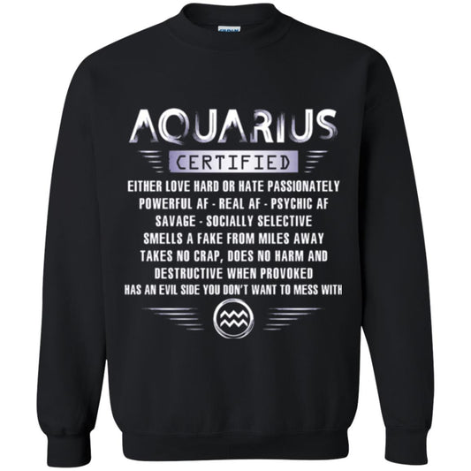 Aquarius Certified Either Love Hard T-shirt Black