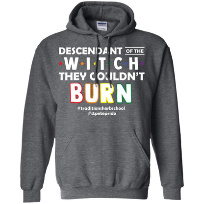 Descendant Of The Witch They Couldn_t Burn #traditionsherbschool #stpetepride Lgbt ShirtG185 Gildan Pullover Hoodie 8 oz.